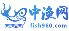 中渔网