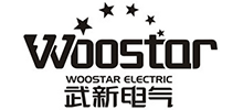 武汉武新电气科技股份有限公司