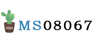 MS08067安全实验室