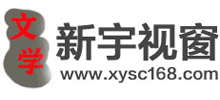 新宇视窗